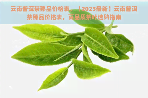 云南普洱茶臻品价格表，【2023最新】云南普洱茶臻品价格表，高品质茶叶选购指南