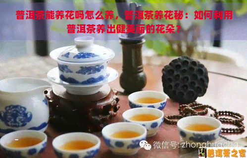 普洱茶能养花吗怎么养，普洱茶养花秘：如何利用普洱茶养出健美丽的花朵？