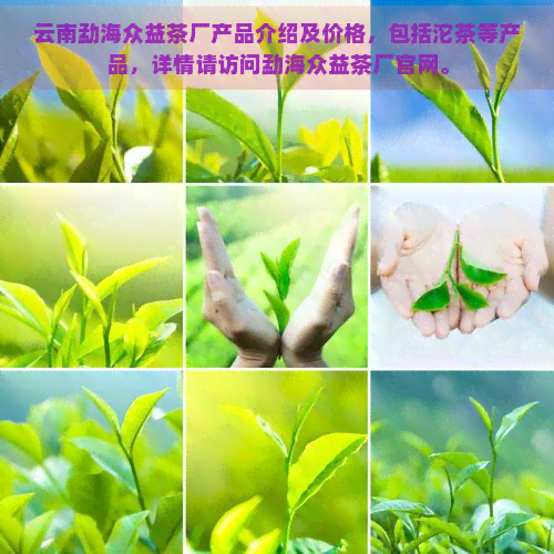 云南勐海众益茶厂产品介绍及价格，包括沱茶等产品，详情请访问勐海众益茶厂官网。