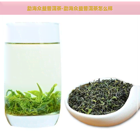 勐海众益普洱茶-勐海众益普洱茶怎么样