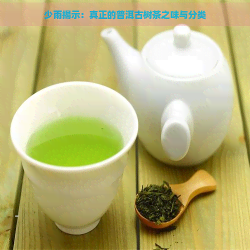 少雨揭示：真正的普洱古树茶之味与分类