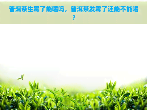 普洱茶生霉了能喝吗，普洱茶发霉了还能不能喝？