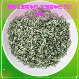 易武普洱茶生霉-普洱茶生霉了能喝吗