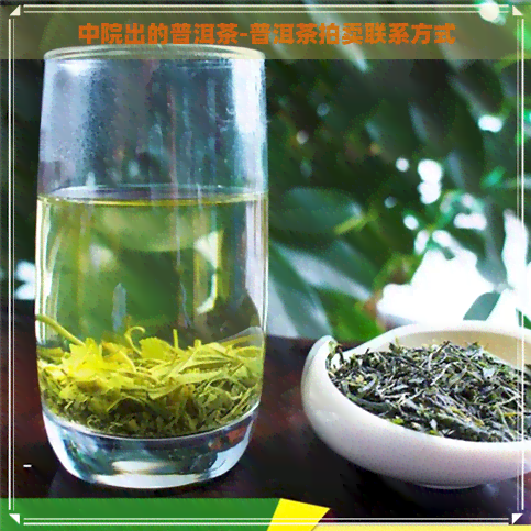 中院出的普洱茶-普洱茶拍卖联系方式