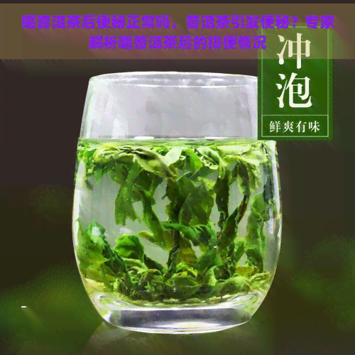 喝普洱茶后便秘正常吗，普洱茶引发便秘？专家解析喝普洱茶后的排便情况