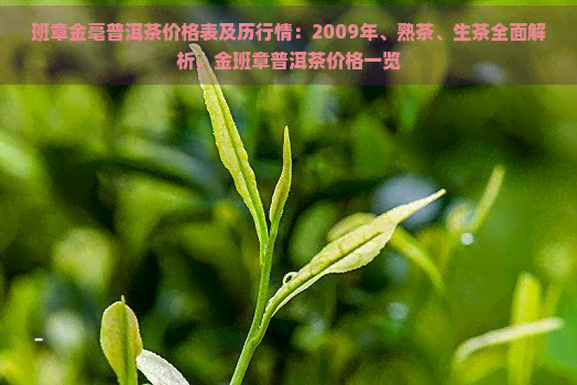 班章金毫普洱茶价格表及历行情：2009年、熟茶、生茶全面解析，金班章普洱茶价格一览