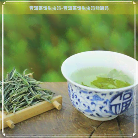 普洱茶饼生虫吗-普洱茶饼生虫吗能喝吗