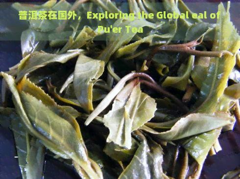 普洱茶在国外，Exploring the Global eal of Pu'er Tea