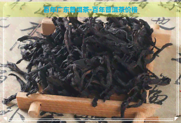 百年广东普洱茶-百年普洱茶价格