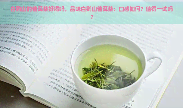 白鹦山的普洱茶好喝吗，品味白鹦山普洱茶：口感如何？值得一试吗？