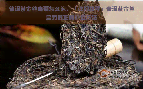 普洱茶金丝皇菊怎么泡，「详细教程」普洱茶金丝皇菊的正确冲泡方法