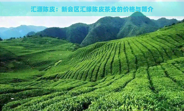 汇源陈皮：新会区汇缘陈皮茶业的价格与简介