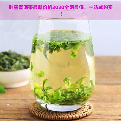 叶玺普洱茶最新价格2020全网更低，一站式购买！