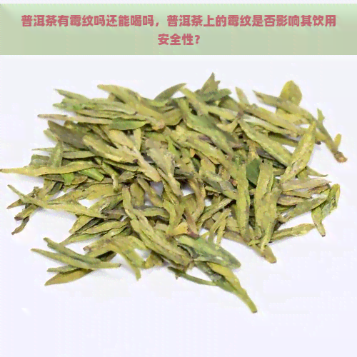 普洱茶有霉纹吗还能喝吗，普洱茶上的霉纹是否影响其饮用安全性？