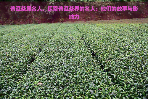 普洱茶届名人，探索普洱茶界的名人：他们的故事与影响力