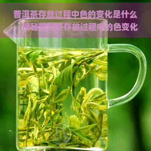 普洱茶存放过程中色的变化是什么，揭秘普洱茶存放过程中的色变化