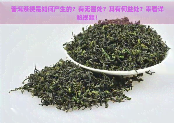 普洱茶梗是如何产生的？有无害处？其有何益处？来看详解视频！