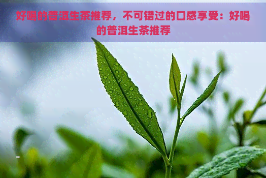 好喝的普洱生茶推荐，不可错过的口感享受：好喝的普洱生茶推荐