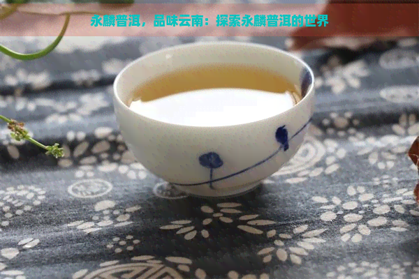 永麟普洱，品味云南：探索永麟普洱的世界