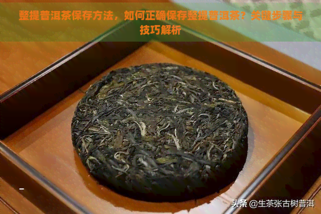 整提普洱茶保存方法，如何正确保存整提普洱茶？关键步骤与技巧解析