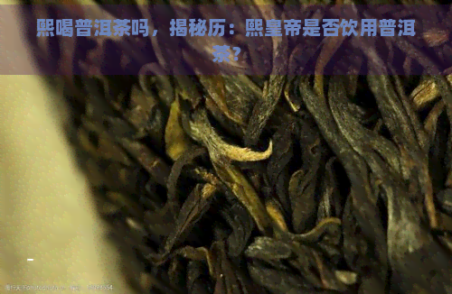 熙喝普洱茶吗，揭秘历：熙皇帝是否饮用普洱茶？