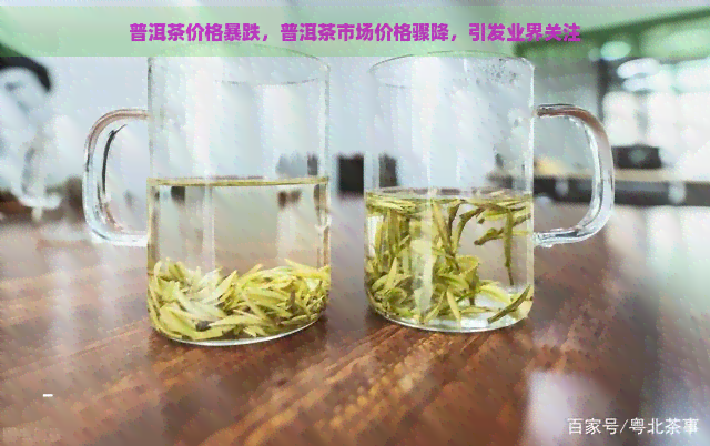 普洱茶价格暴跌，普洱茶市场价格骤降，引发业界关注