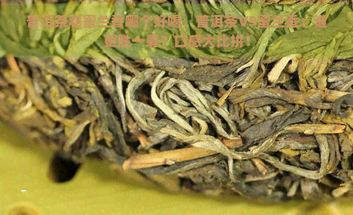 普洱茶和蜜兰香哪个好喝，普洱茶VS蜜兰香：谁更胜一筹？口感大比拼！