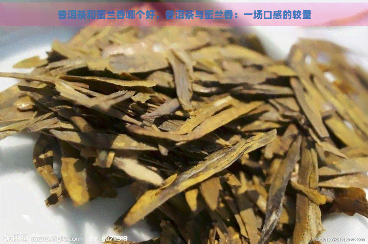 普洱茶和蜜兰香哪个好，普洱茶与蜜兰香：一场口感的较量