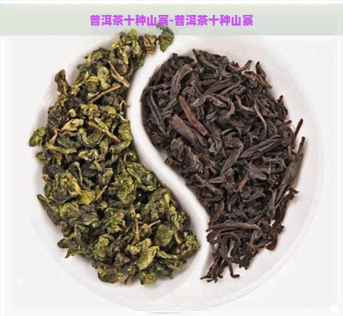 普洱茶十种山寨-普洱茶十种山寨