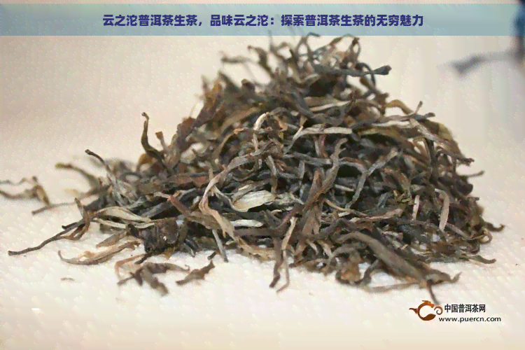 云之沱普洱茶生茶，品味云之沱：探索普洱茶生茶的无穷魅力