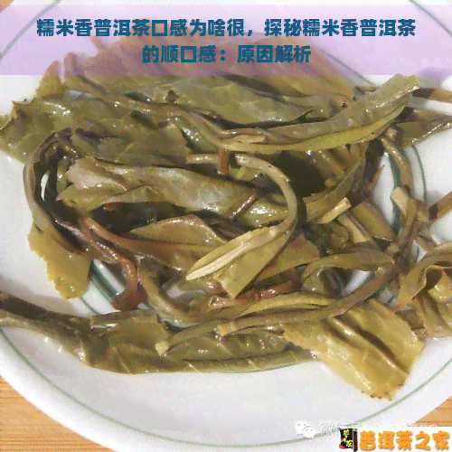 糯米香普洱茶口感为啥很，探秘糯米香普洱茶的顺口感：原因解析