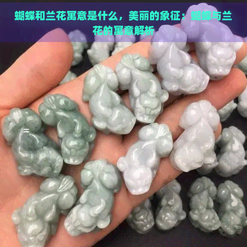 蝴蝶和兰花寓意是什么，美丽的象征：蝴蝶与兰花的寓意解析