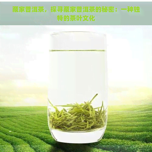 藏家普洱茶，探寻藏家普洱茶的秘密：一种独特的茶叶文化