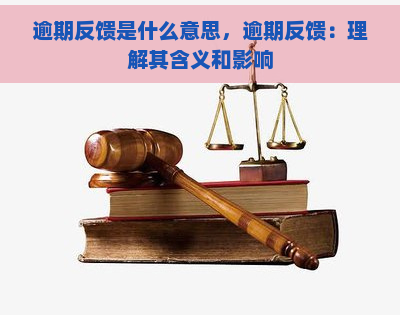 逾期反馈是什么意思，逾期反馈：理解其含义和影响