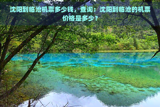 沈阳到临沧机票多少钱，查询：沈阳到临沧的机票价格是多少？