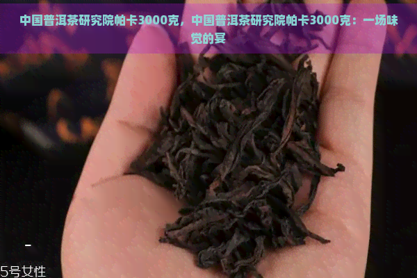 中国普洱茶研究院帕卡3000克，中国普洱茶研究院帕卡3000克：一场味觉的宴