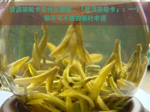 普洱茶帕卡是什么意思，「普洱茶帕卡」：一个你不可不知的茶叶术语