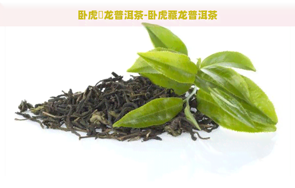 卧虎蔵龙普洱茶-卧虎藏龙普洱茶