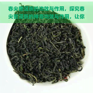 春尖普洱茶的功效与作用，探究春尖普洱茶的神奇功效与作用，让你健加倍！