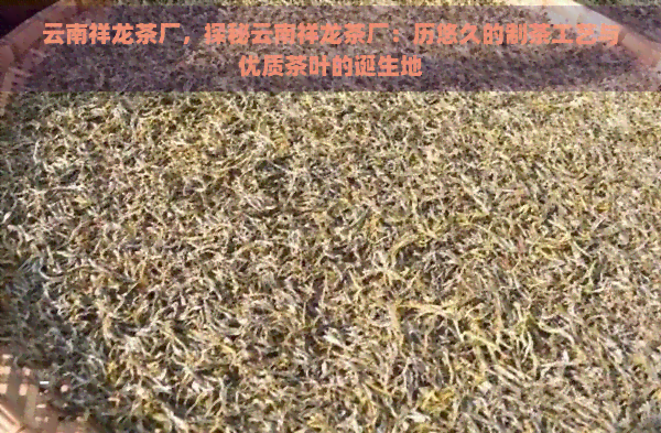 云南祥龙茶厂，探秘云南祥龙茶厂：历悠久的制茶工艺与优质茶叶的诞生地