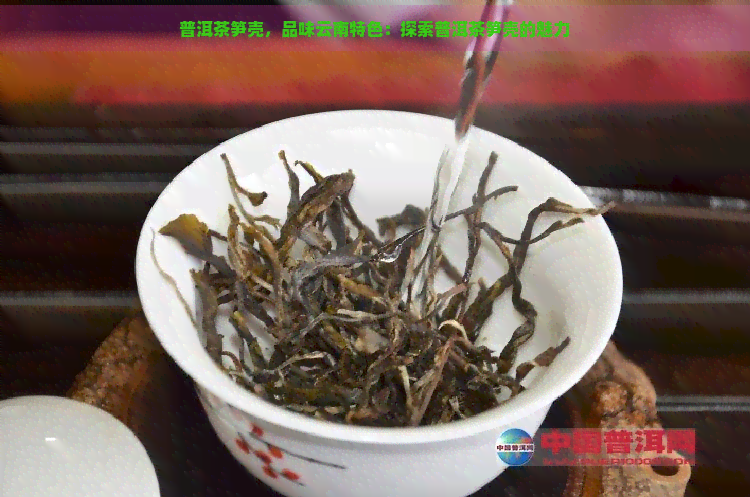 普洱茶笋壳，品味云南特色：探索普洱茶笋壳的魅力