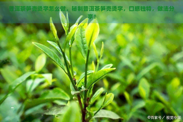 普洱茶笋壳烫字怎么做，秘制普洱茶笋壳烫字，口感独特，做法分享！