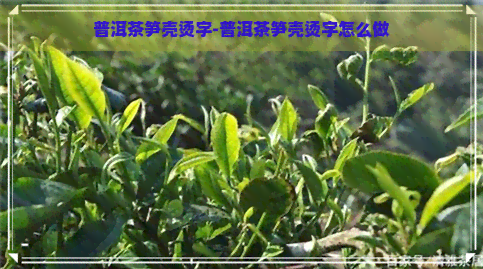 普洱茶笋壳烫字-普洱茶笋壳烫字怎么做