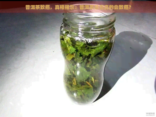 普洱茶致癌，真相揭示：普洱茶是否真的会致癌？