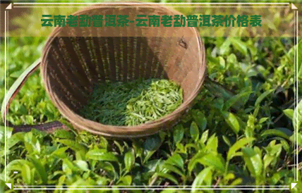 云南老勐普洱茶-云南老勐普洱茶价格表