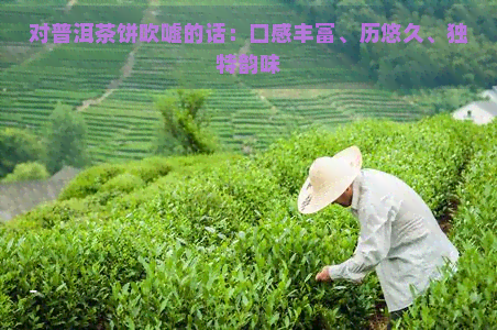 对普洱茶饼吹嘘的话：口感丰富、历悠久、独特韵味