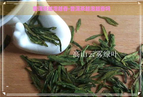 普洱茶越泡越香-普洱茶越泡越香吗