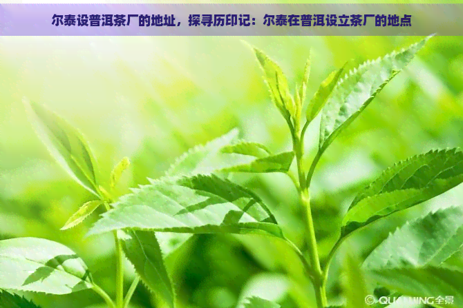 尔泰设普洱茶厂的地址，探寻历印记：尔泰在普洱设立茶厂的地点