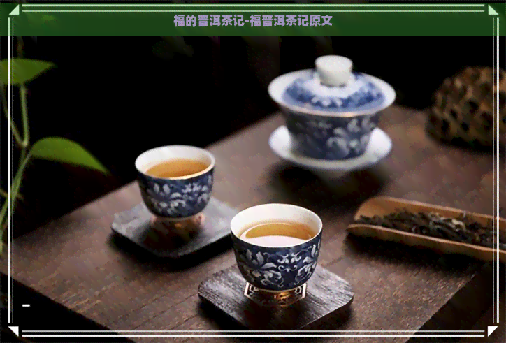 福的普洱茶记-福普洱茶记原文