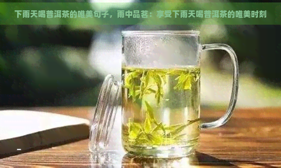 下雨天喝普洱茶的唯美句子，雨中品茗：享受下雨天喝普洱茶的唯美时刻